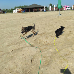 Spacer podopiecznych Fundacji Dwa plus Cztery